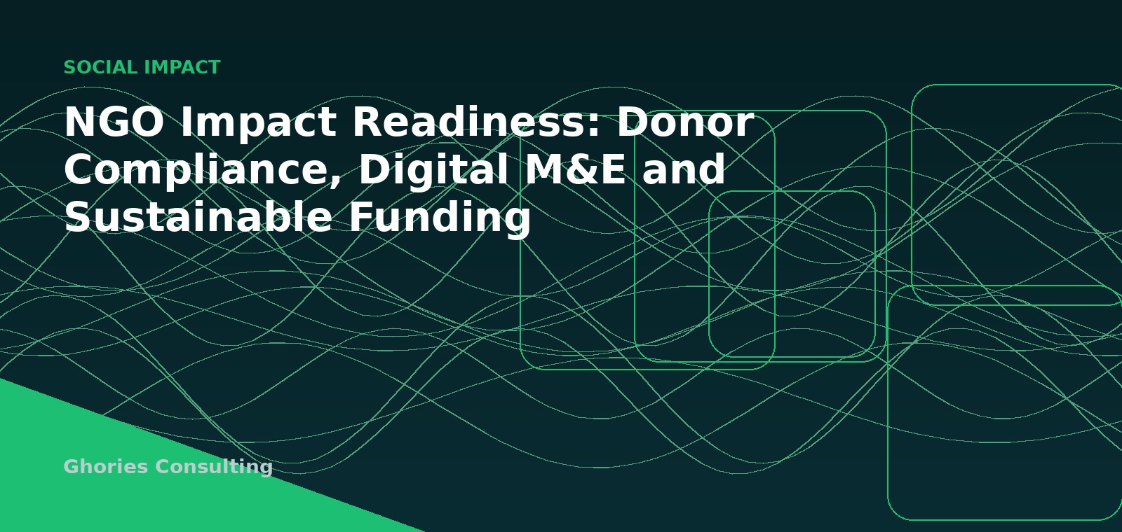 NGO Impact Readiness: Donor Compliance, Digital M&E and Sustainable Funding cover image